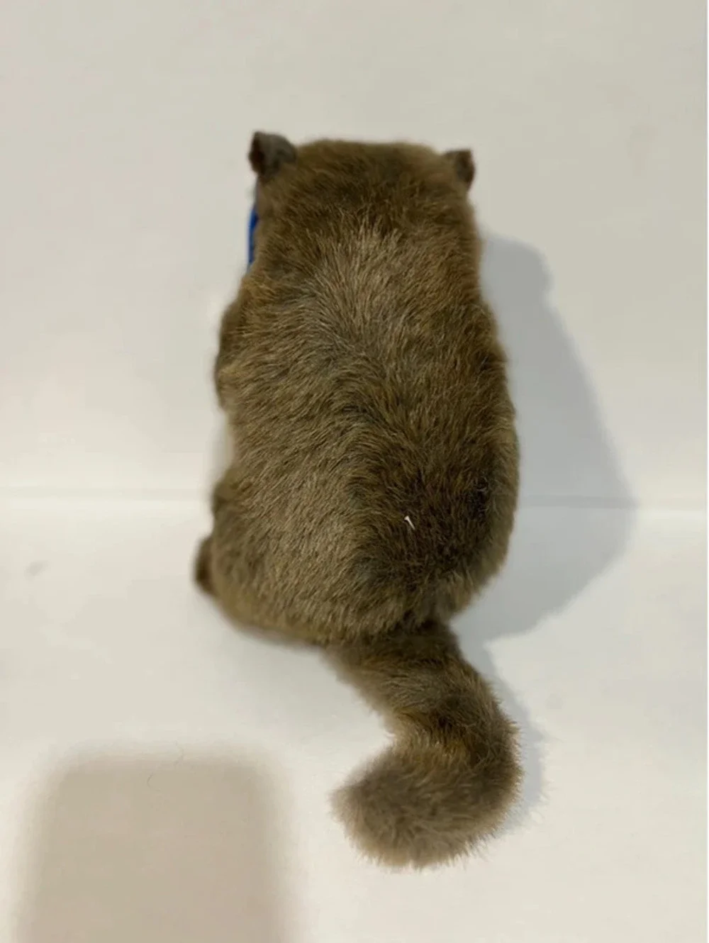 Sea World Sea Otter Holding Clam Brown Plush Stuffed Animal Soft